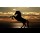Fototapetai Juodas žirgas saulėlydyje